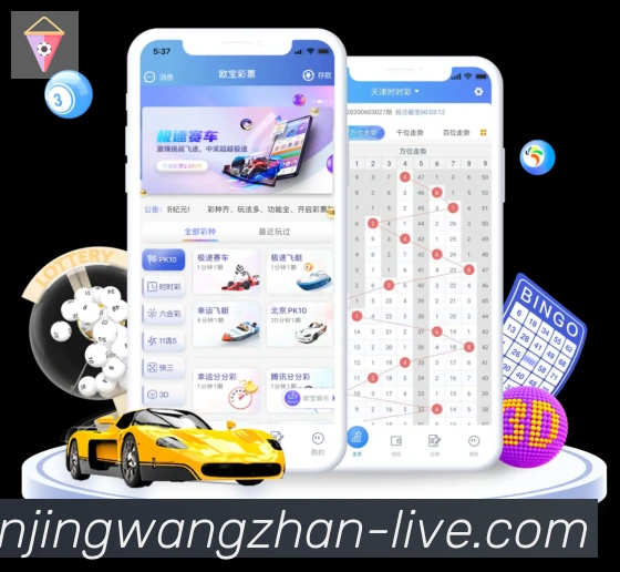 App Interface Preview