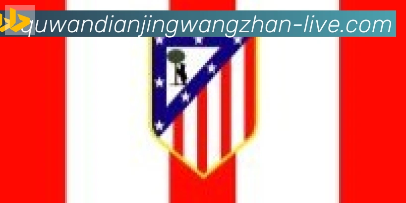趣玩电竞官方网站合作伙伴